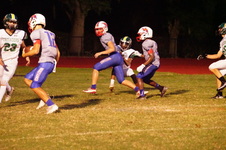 Enlarge photo 317