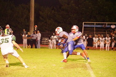 Enlarge photo 483