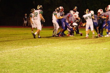 Enlarge photo 509
