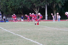 Enlarge photo 63