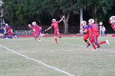 Enlarge photo 64