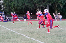 Enlarge photo 65