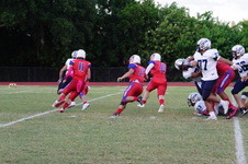 Enlarge photo 78