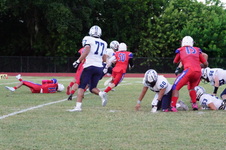 Enlarge photo 83