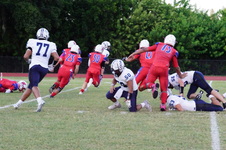 Enlarge photo 84