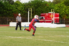 Enlarge photo 87