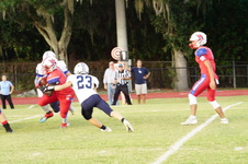 Enlarge photo 97