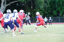Enlarge photo 148