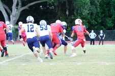 Enlarge photo 149