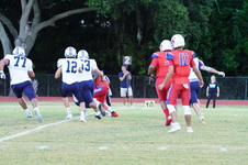 Enlarge photo 155
