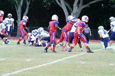 Enlarge photo 161