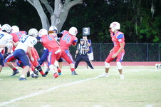 Enlarge photo 168