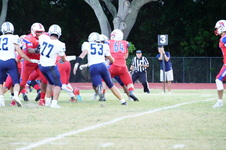 Enlarge photo 169