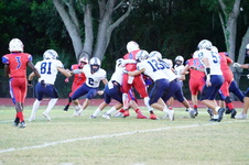 Enlarge photo 172