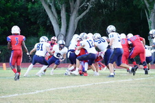 Enlarge photo 173