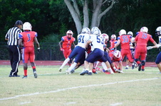 Enlarge photo 175