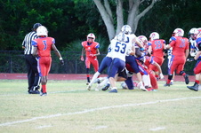 Enlarge photo 176