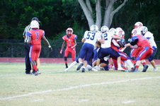 Enlarge photo 177