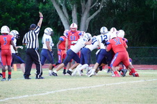 Enlarge photo 183