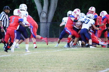 Enlarge photo 195