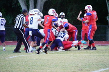 Enlarge photo 196