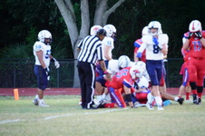 Enlarge photo 201