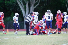 Enlarge photo 203