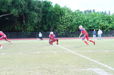 Enlarge photo 209
