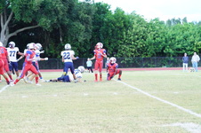 Enlarge photo 213