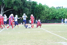 Enlarge photo 212