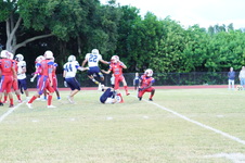 Enlarge photo 215