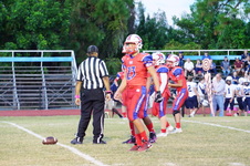 Enlarge photo 226