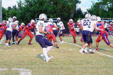 Enlarge photo 239