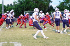 Enlarge photo 242