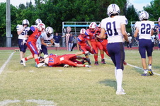 Enlarge photo 243