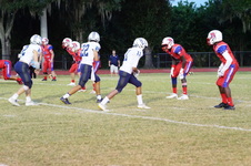 Enlarge photo 263