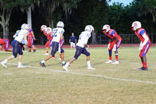 Enlarge photo 264