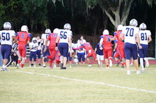 Enlarge photo 267