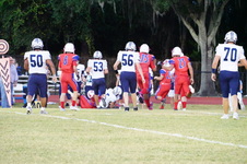 Enlarge photo 268