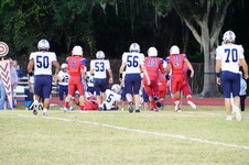 Enlarge photo 269