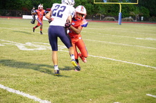 Enlarge photo 347