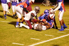Enlarge photo 95