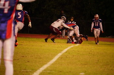 Enlarge photo 225