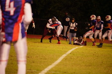 Enlarge photo 228