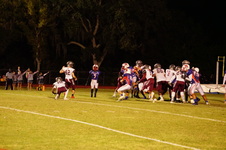 Enlarge photo 335