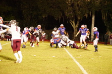Enlarge photo 359