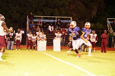 Enlarge photo 397
