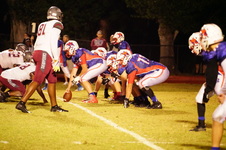 Enlarge photo 446