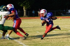 Enlarge photo 65