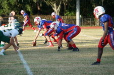 Enlarge photo 72